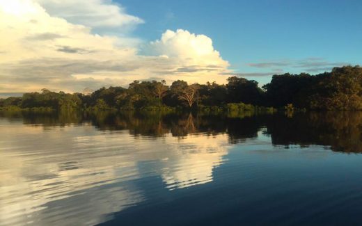 Bootfahren auf dem Amazonas: Expedition im Regenwald