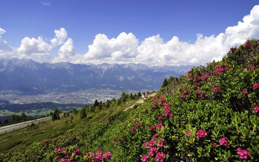 Panoramareiche Höhenwanderung oberhalb von Innsbruck