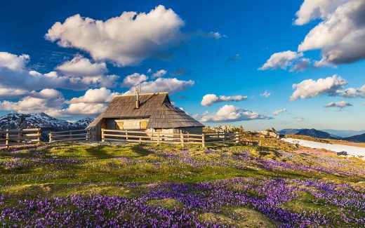 Almendorf Velika Planina: Hochalpine Hirtensiedlung