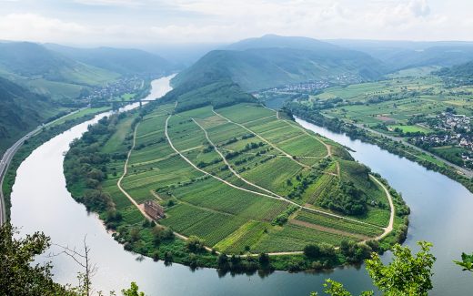 Wandern an der Mosel bei Cochem: Traumhaft schön