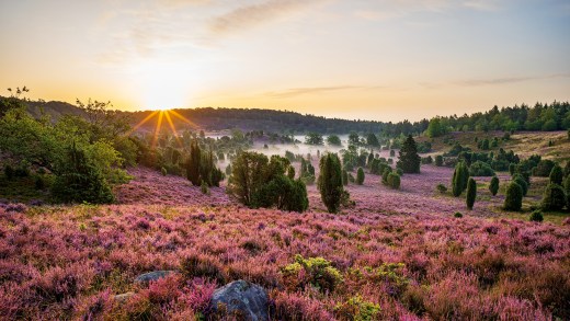 Top 10 Sehenswürdigkeiten in Niedersachsen