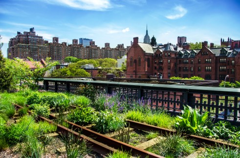 High Line Park in New York: Längste Dachbegrünung der Welt