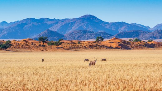 Die 10 besten Sehenswürdigkeiten in Namibia