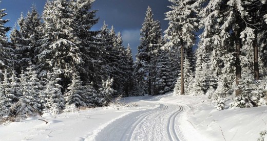Langlauf in Oberhof: 160 km Loipen im Thüringer Wald