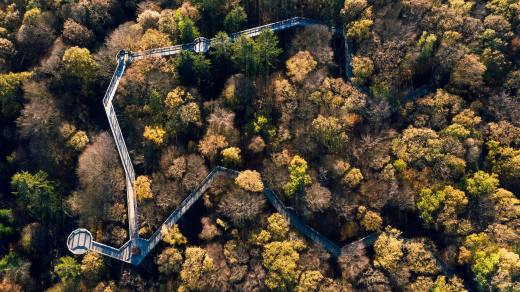 12 spektakuläre Baumwipfelpfade in Deutschland