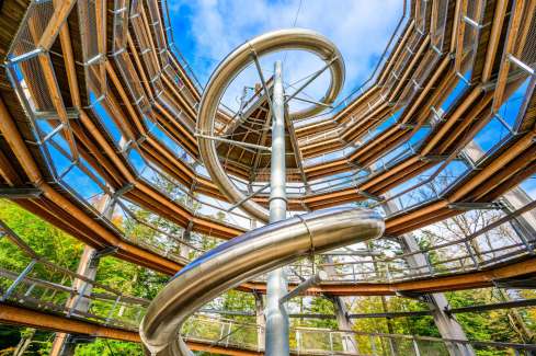 Baumwipfelpfad Schwarzwald: Abenteuer über dem Wald