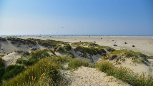 Insel Rømø: Campingurlaub an der dänischen Nordsee
