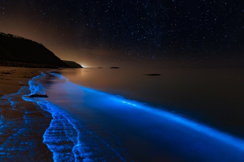 Biolumineszenz: An diesen 11 Orten leuchtet das Meer