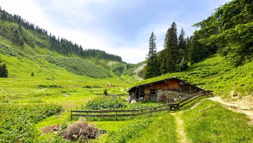 Vom Heuberg zum Walmendingerhorn: Familientour im Allgäu