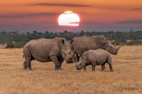 Top 13 Sehenswürdigkeiten & Nationalparks in Botswana