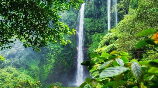 Sekumpul Wasserfall: Balis höchster und schönster Wasserfall