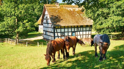Freilichtmuseum Kommern: Eines der größten Europas