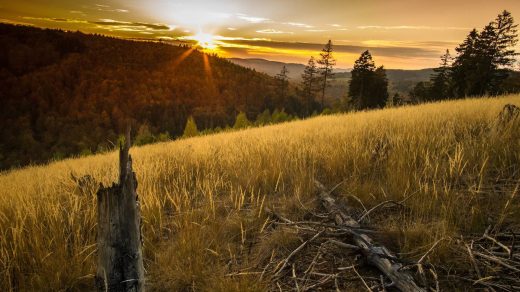 Sauerland: Top 20 Ausflugsziele & Sehenswürdigkeiten