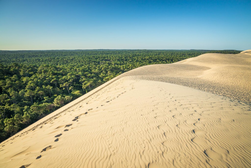 Dune Du Pilat Europas H chste Wanderd ne HOME Of TRAVEL dune-du-pilat-europas-h-chste-wanderd-ne-home-of-travel