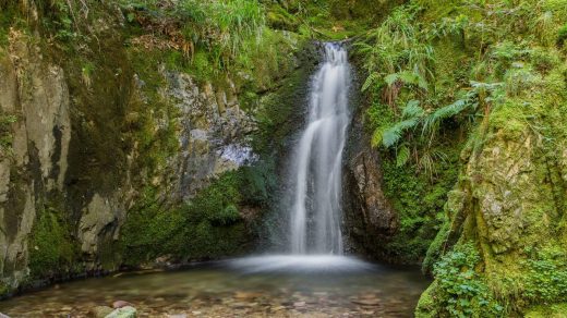 Edelfrauengrab-Wasserfälle: Nordschwarzwald pur