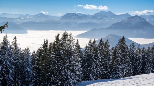 Winterwanderung: Panoramareiche Spitzstein-Rundtour