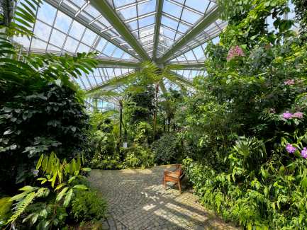 Palmengarten: Frankfurts exotische Pflanzenwelten