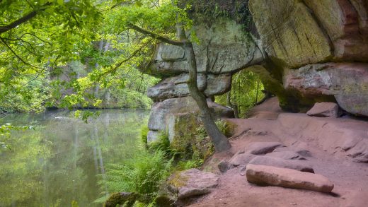 Wanderung durch die Schwarzachklamm bei Nürnberg