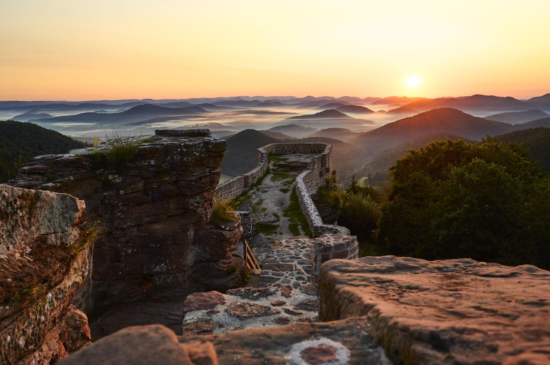 Wegelnburg: Höchstgelegene Burgruine im Pfälzerwald
