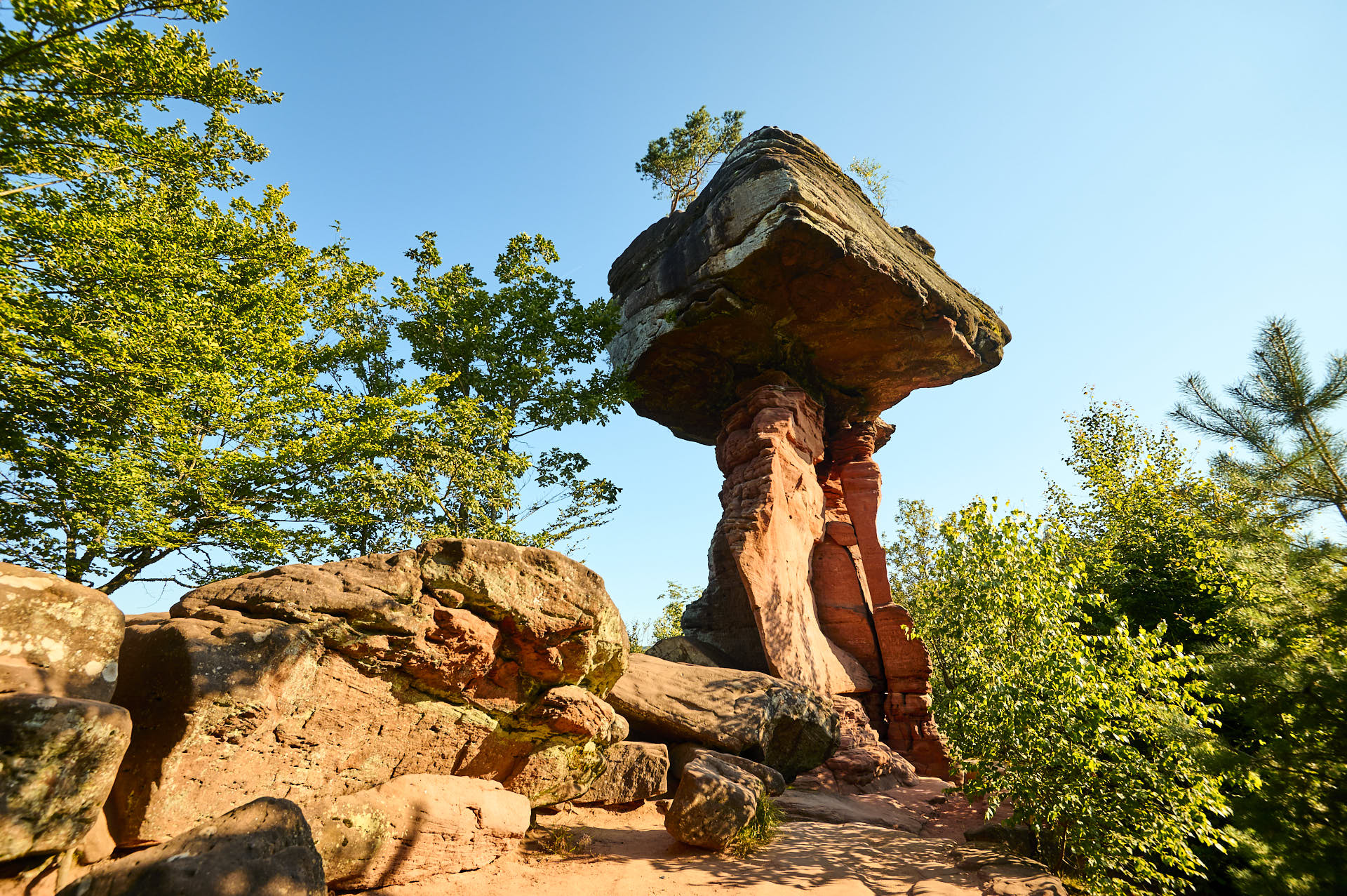 Teufelstisch: Imposante Felsnadel im Pfälzer Wald