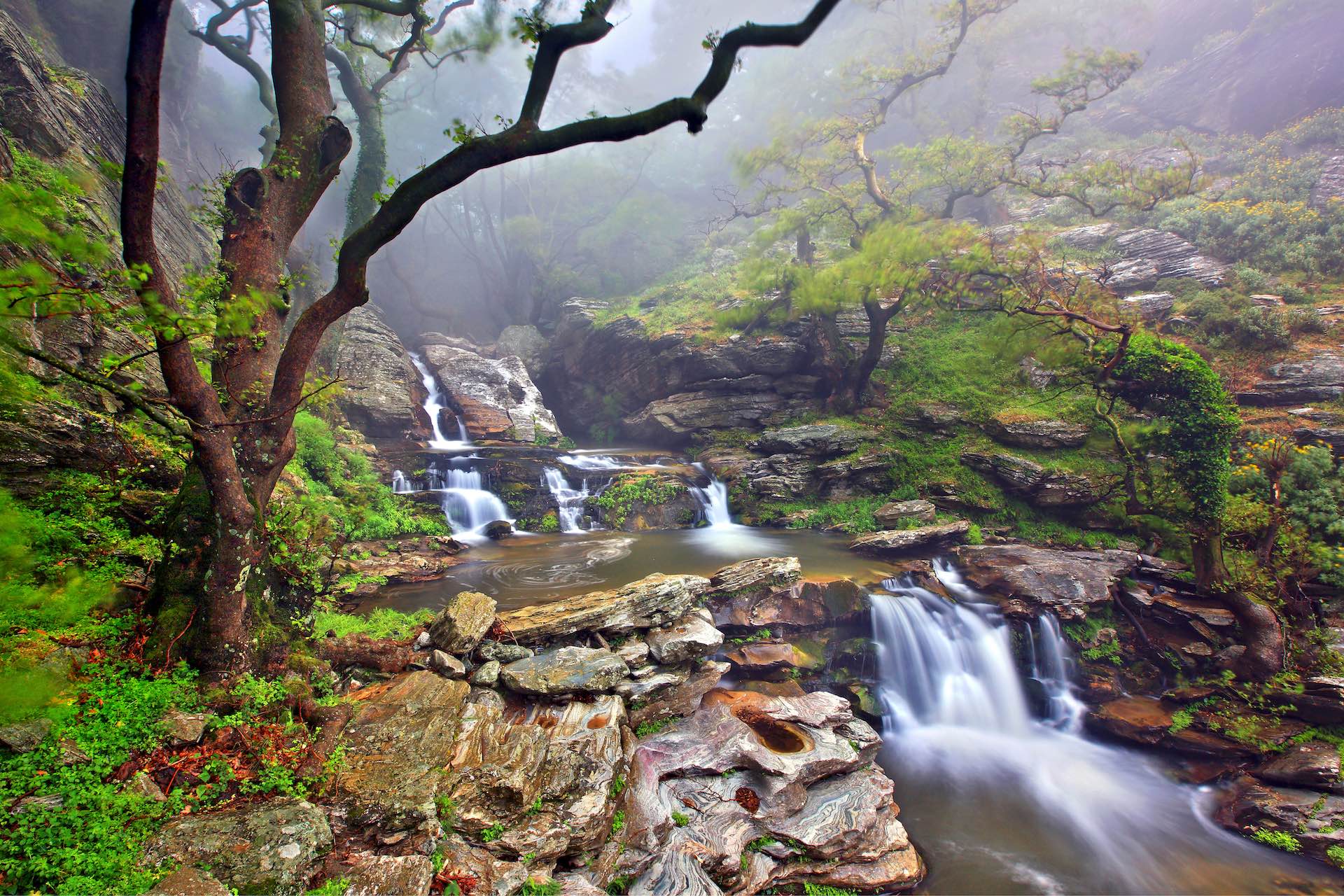 Dimosari-Schlucht: Unberührtes Wanderparadies Euböas