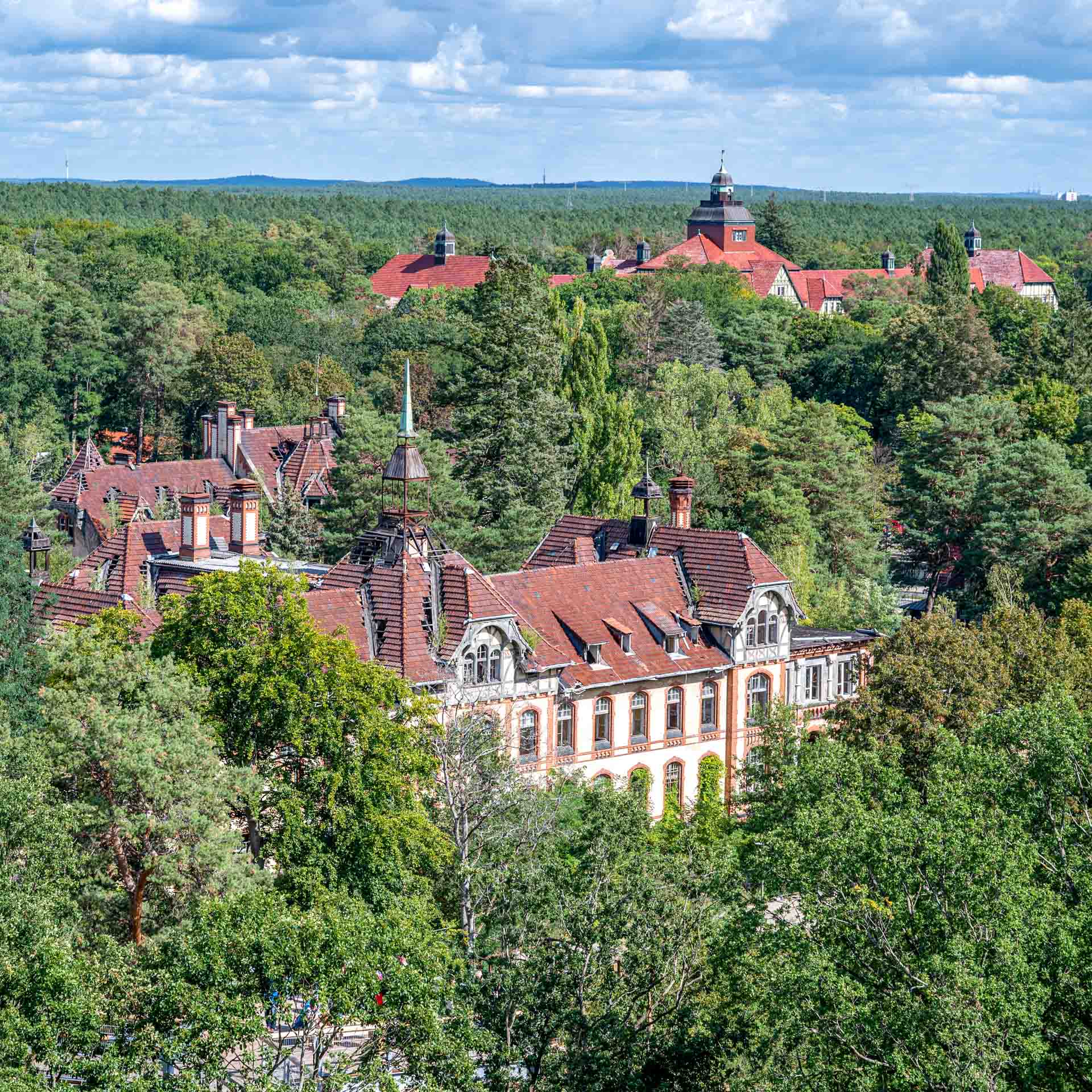 Baumkronenpfad Beelitz: Über dem bekannten Lost Place