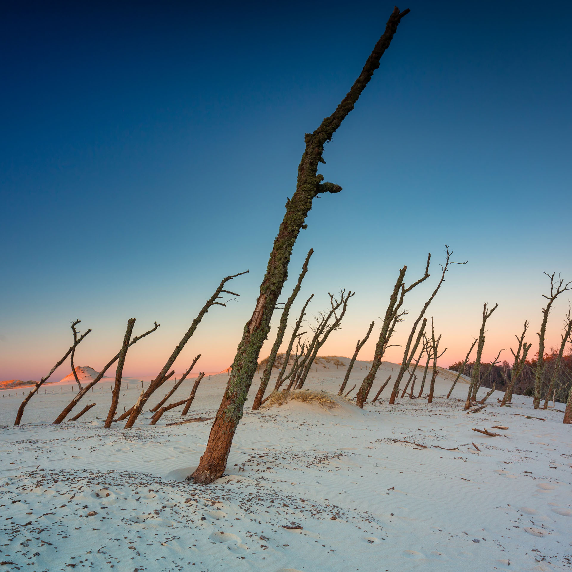 Wydma Łącka: Gigantische Düne im Slowinski Nationalpark