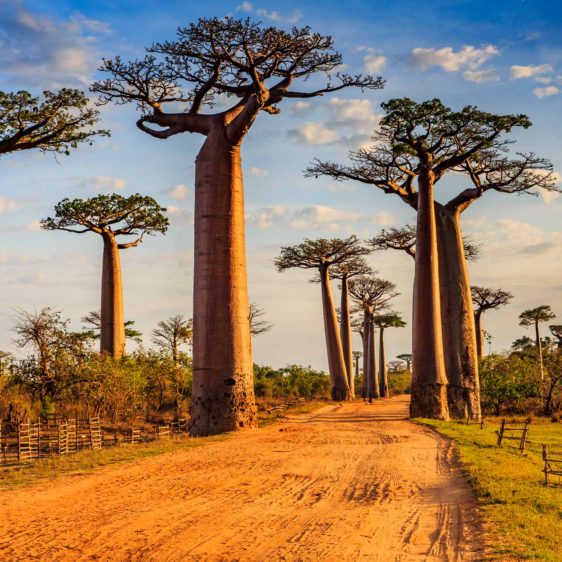 Die 13 besten Sehenswürdigkeiten auf Madagaskar