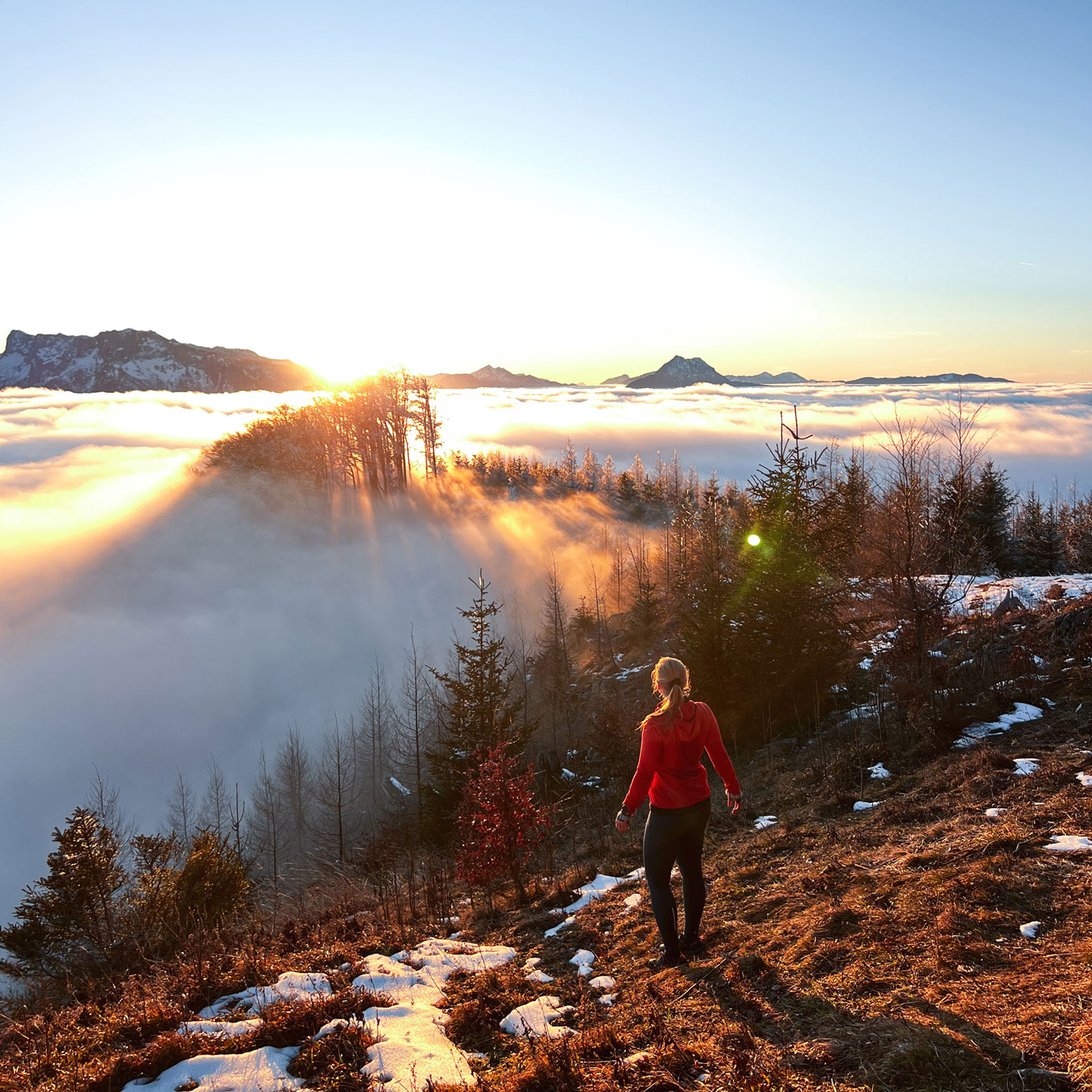 Gurlspitze: Einsame Wanderung auf Salzburger Gaisberg