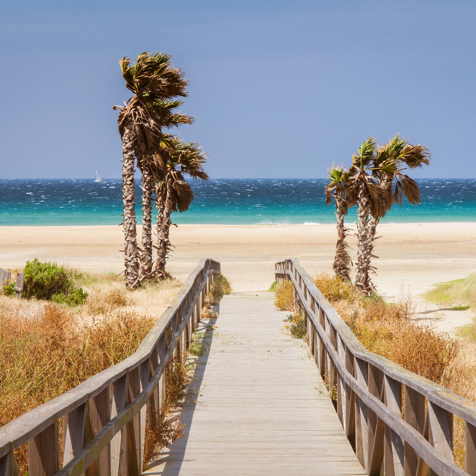 Tarifa: Weltberühmtes Kite-Paradies Spaniens