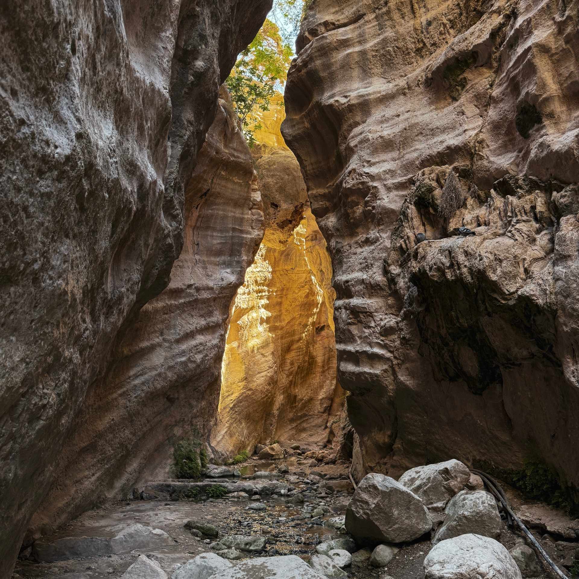 Avakas-Schlucht: Wanderung durch die wilde Natur Zyperns