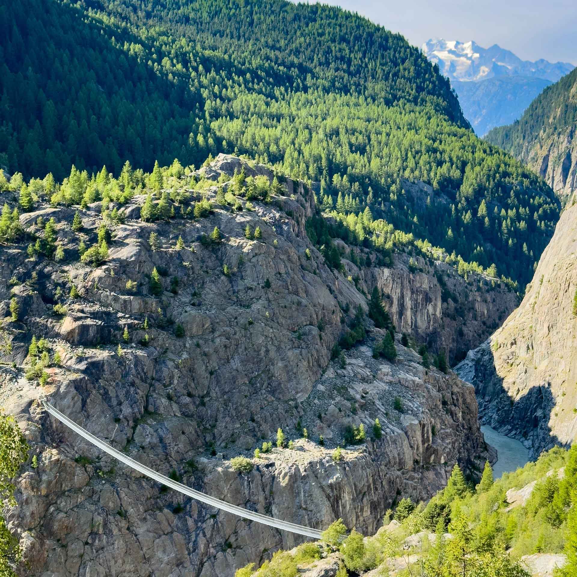 Aletsch-Panoramaweg über die spektakuläre Hängebrücke