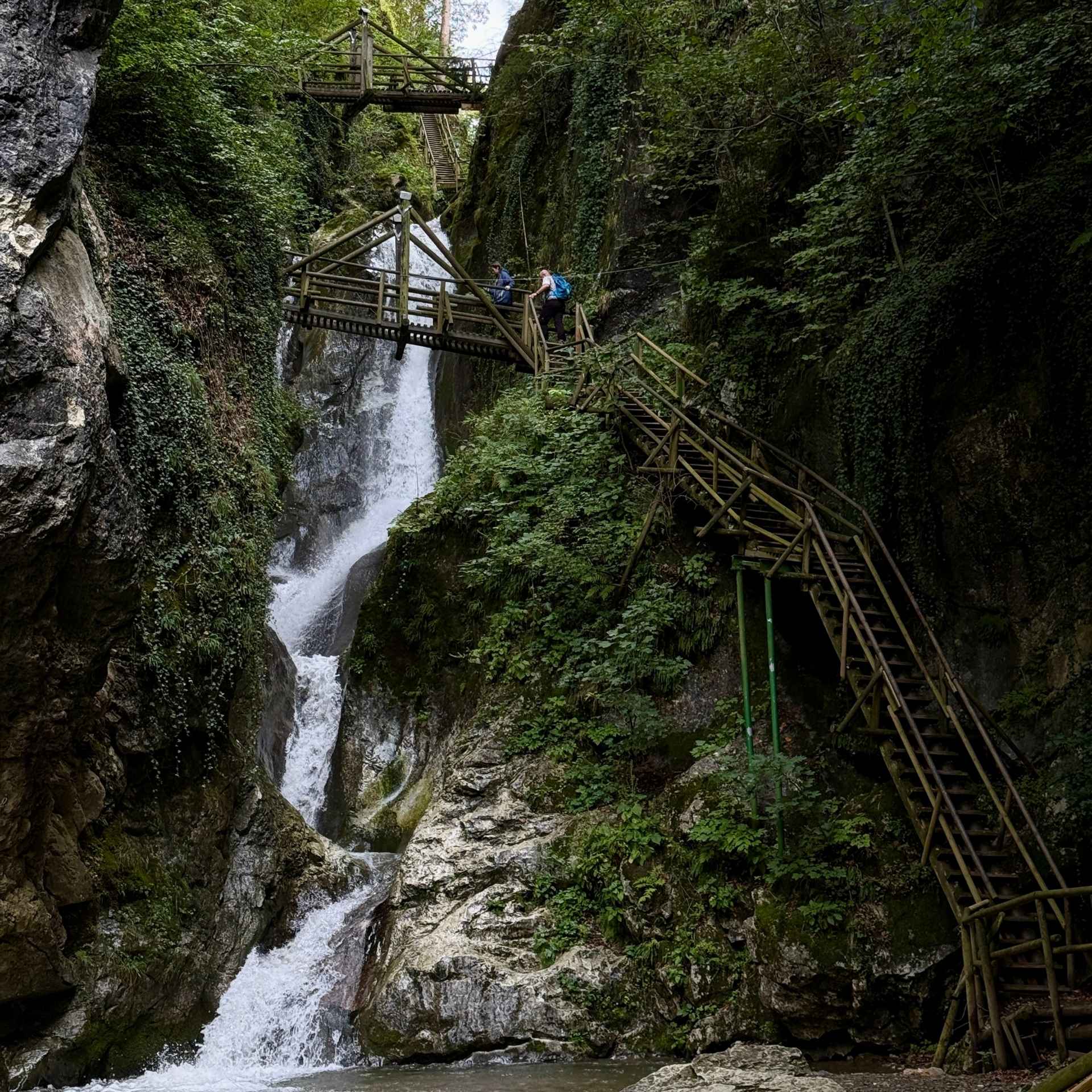 Kesselfallklamm: Auf Holz durch die versteckte Schlucht