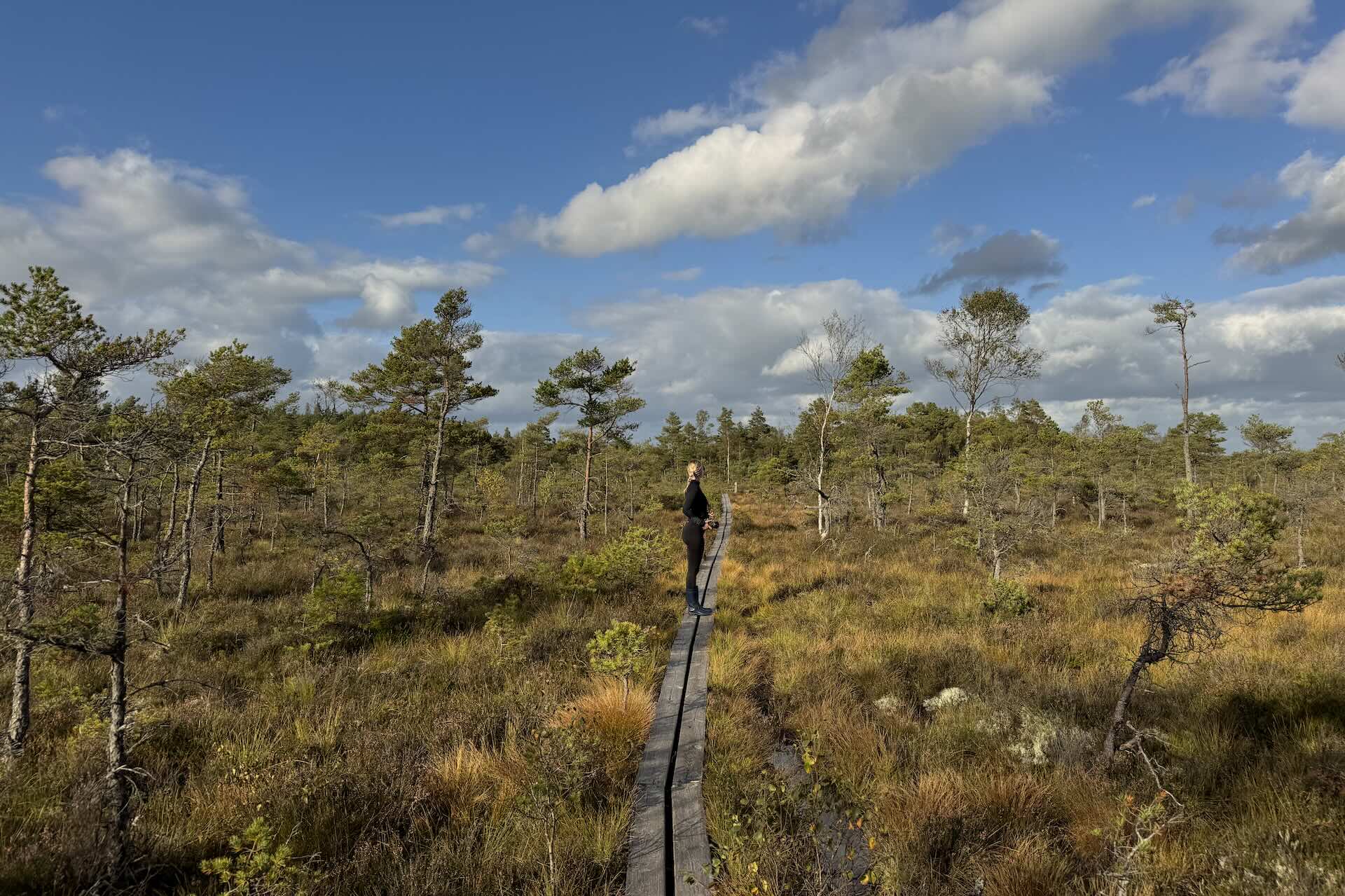 Store Mosse Store Mosse Nationalpark, Schweden – HOME of TRAVEL
