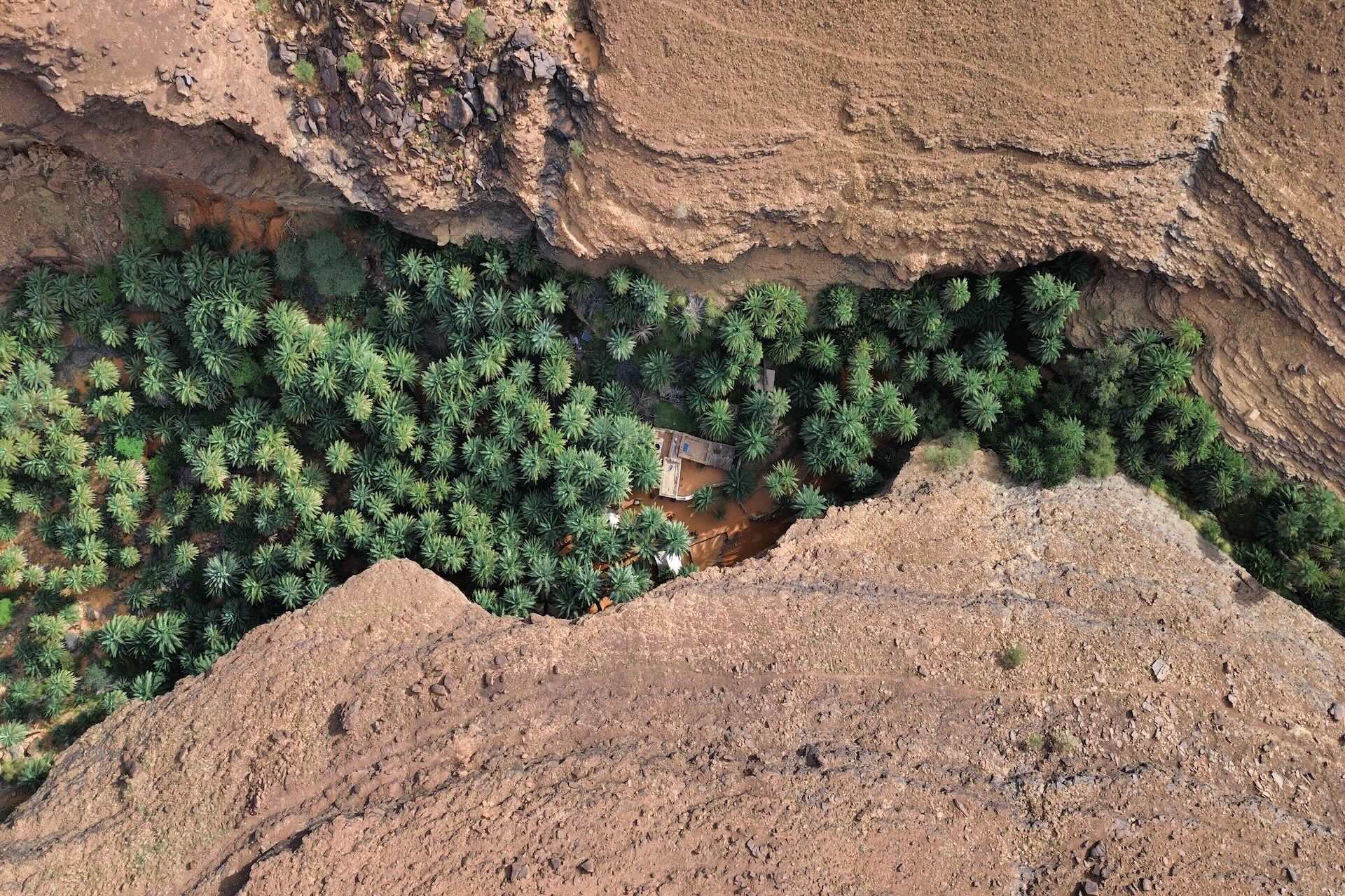 Terjit Oase: Grünes Wunder in der Wüste Mauretaniens