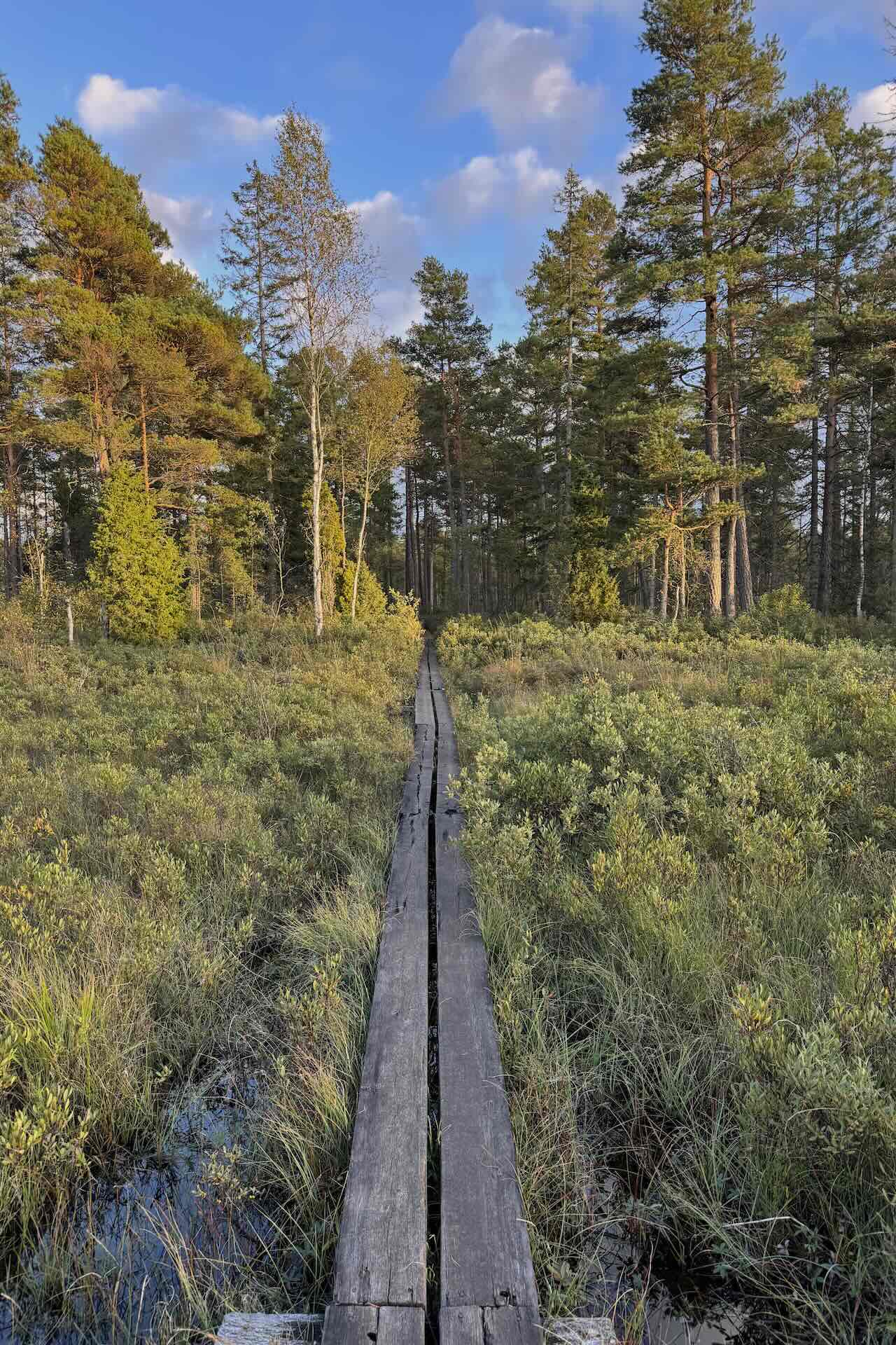 Store Mosse Nationalpark: Südschwedens größte Moorlandschaft