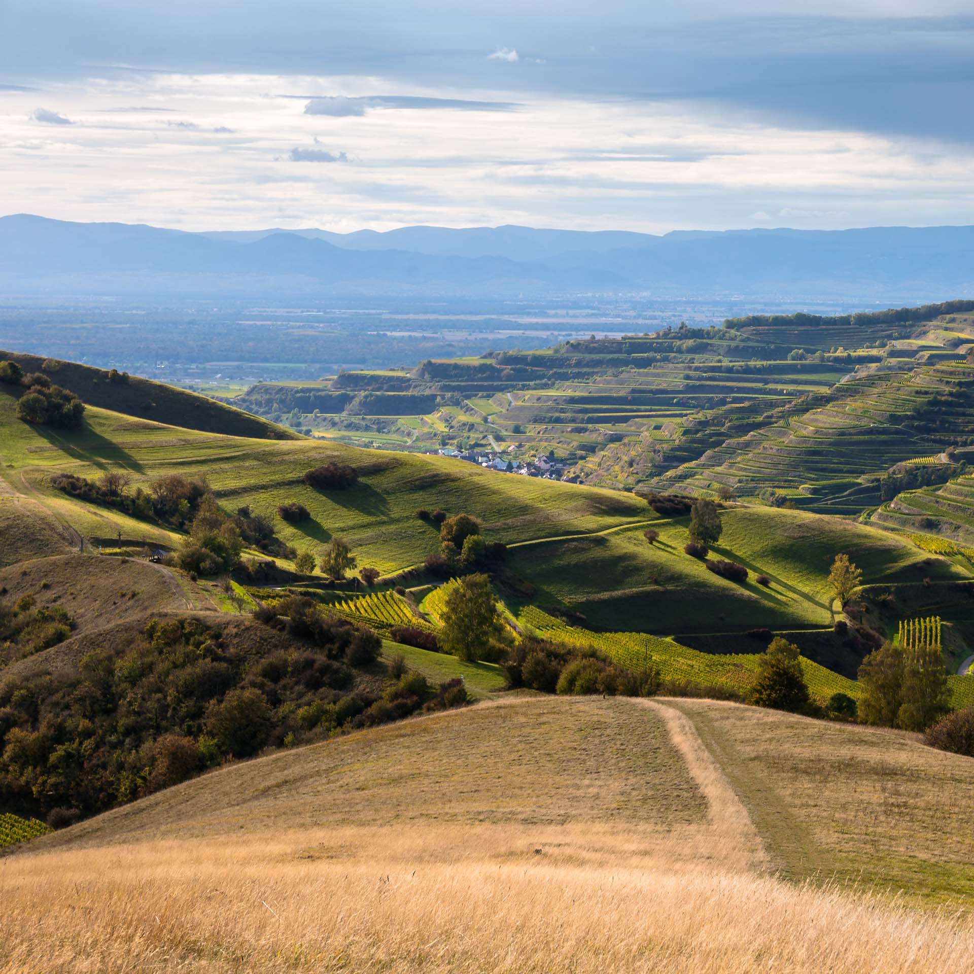 Die 13 besten Sehenswürdigkeiten im Breisgau