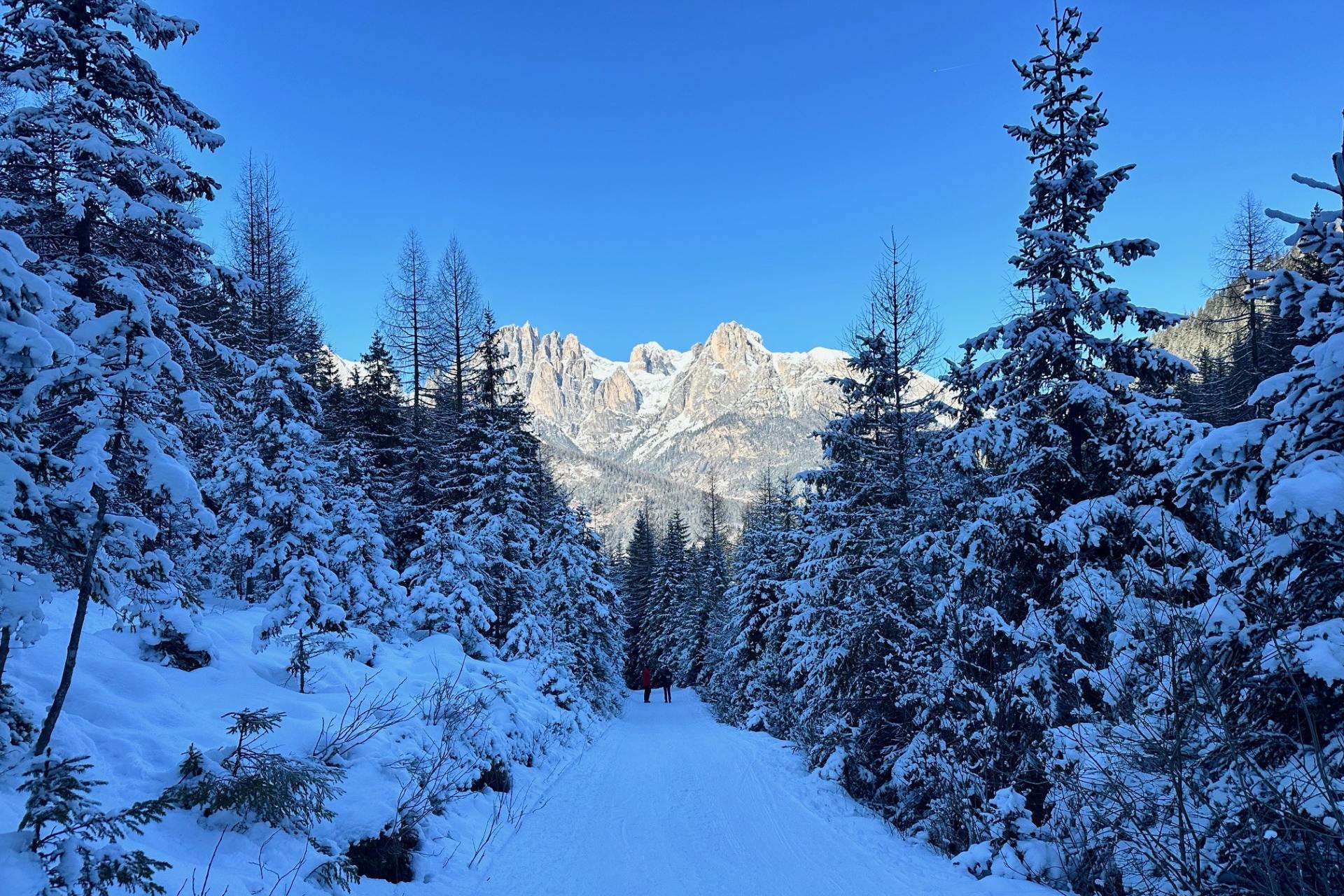 Nikolaustal: Winterwanderung zwischen Stadeln und Gipfeln
