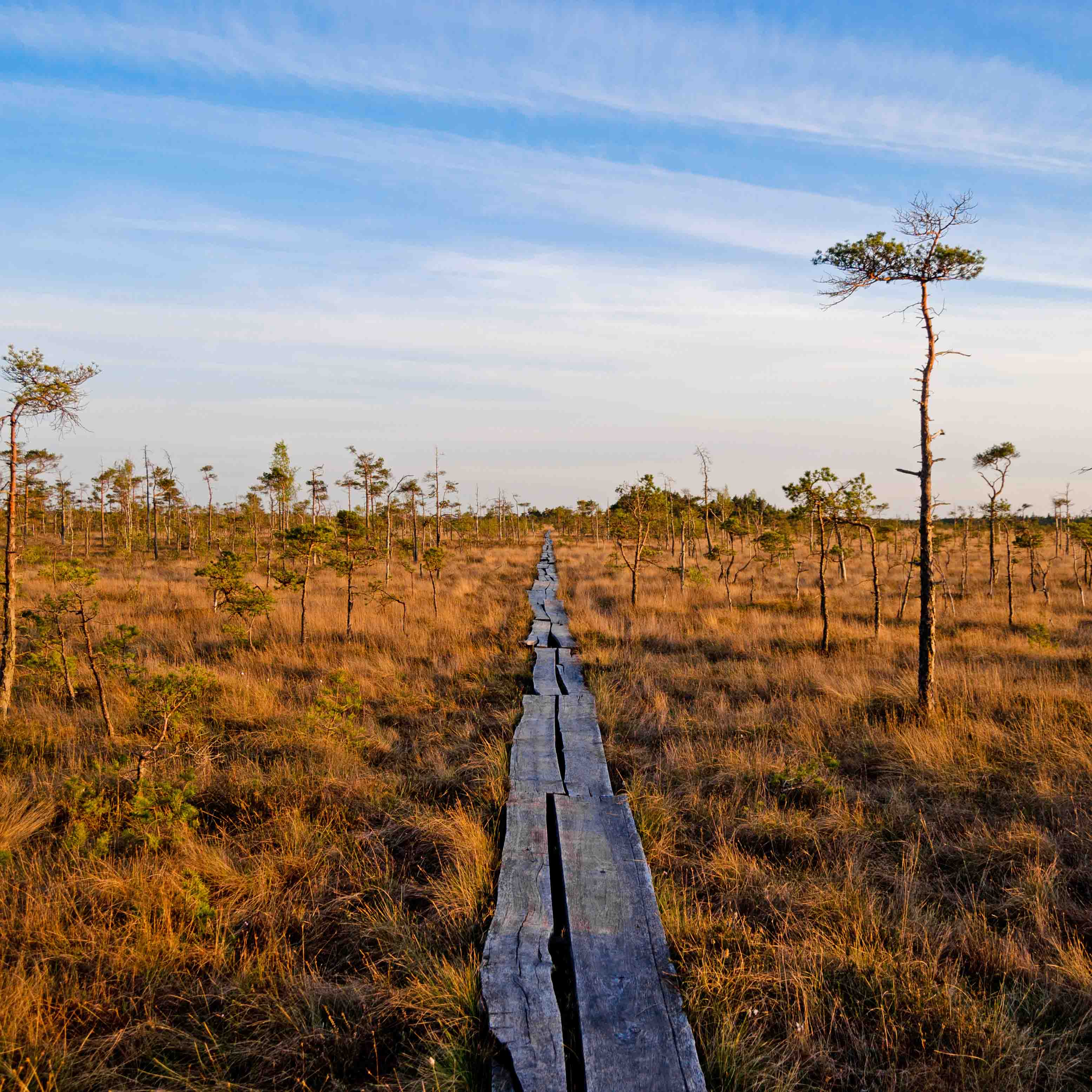 Die 11 besten Sehenswürdigkeiten in Lettland