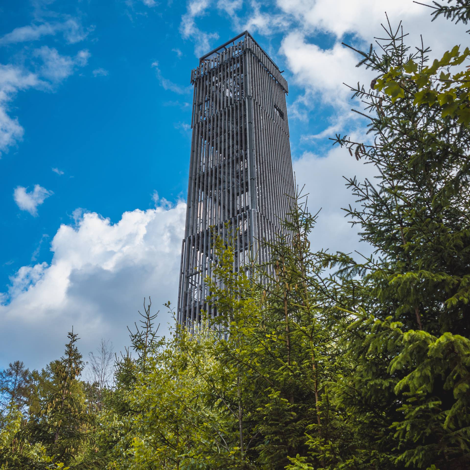 Möhnesee-Turm: Wanderung im Arnsberger Wald
