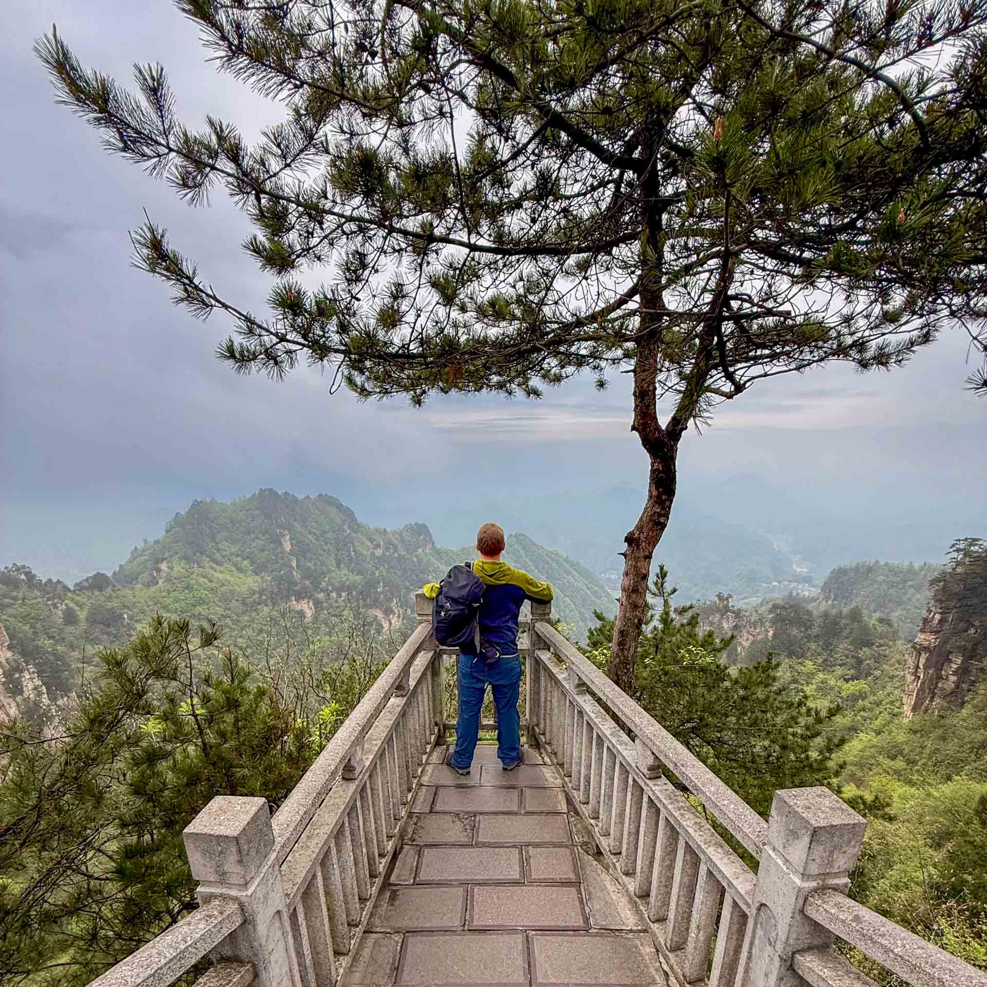 Tianzi Mountain: Spektakuläre Wanderung in Zhangjiajie