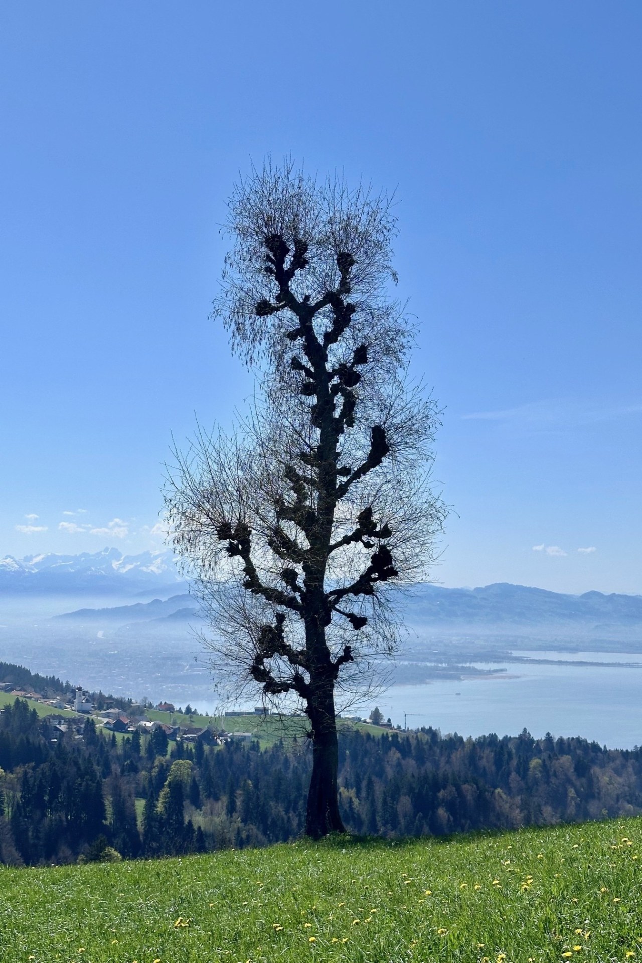 Aussichtsreiche Rundwanderung am Hochberg