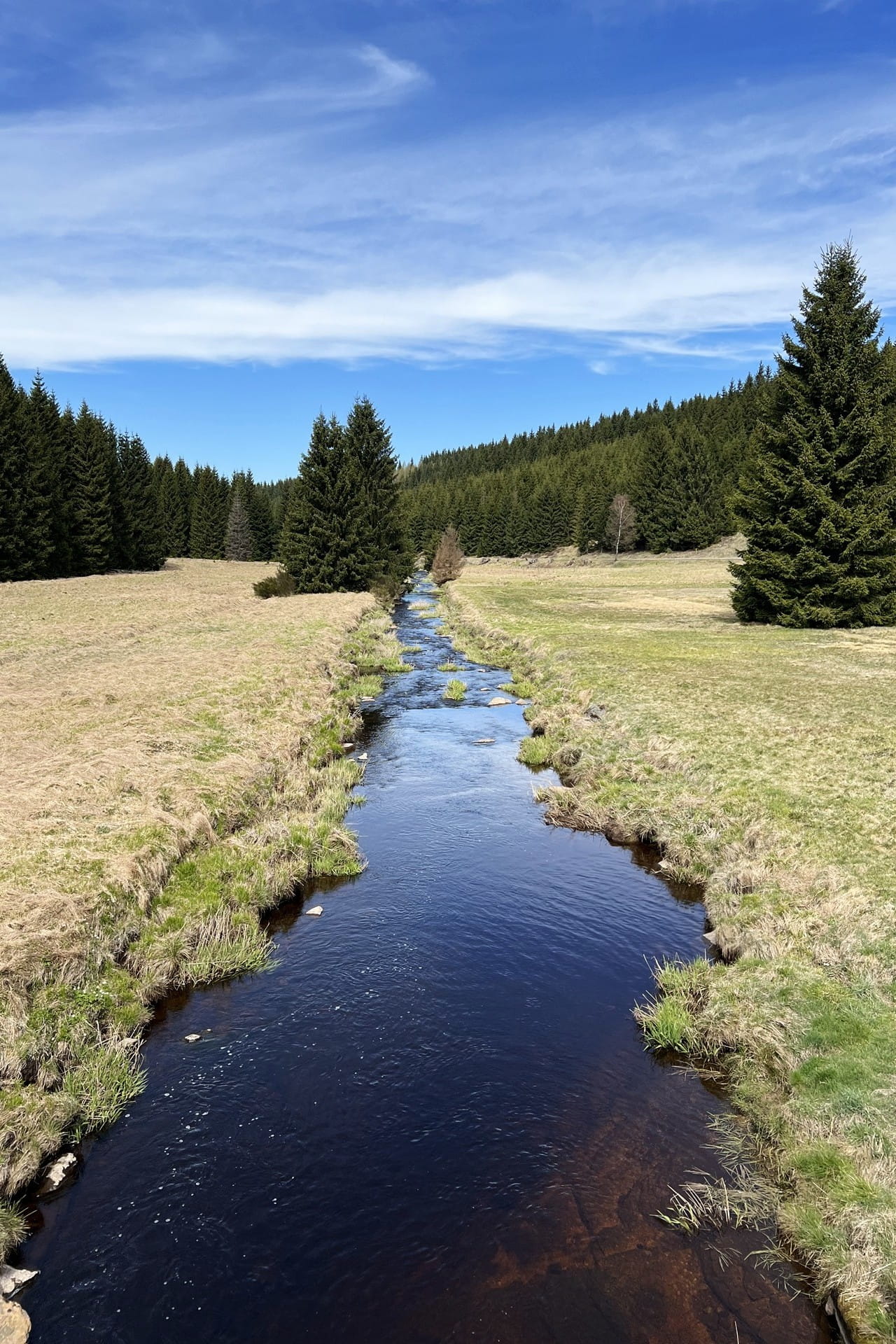 Schwarzwassertal: Malerische Wanderung im Erzgebirge