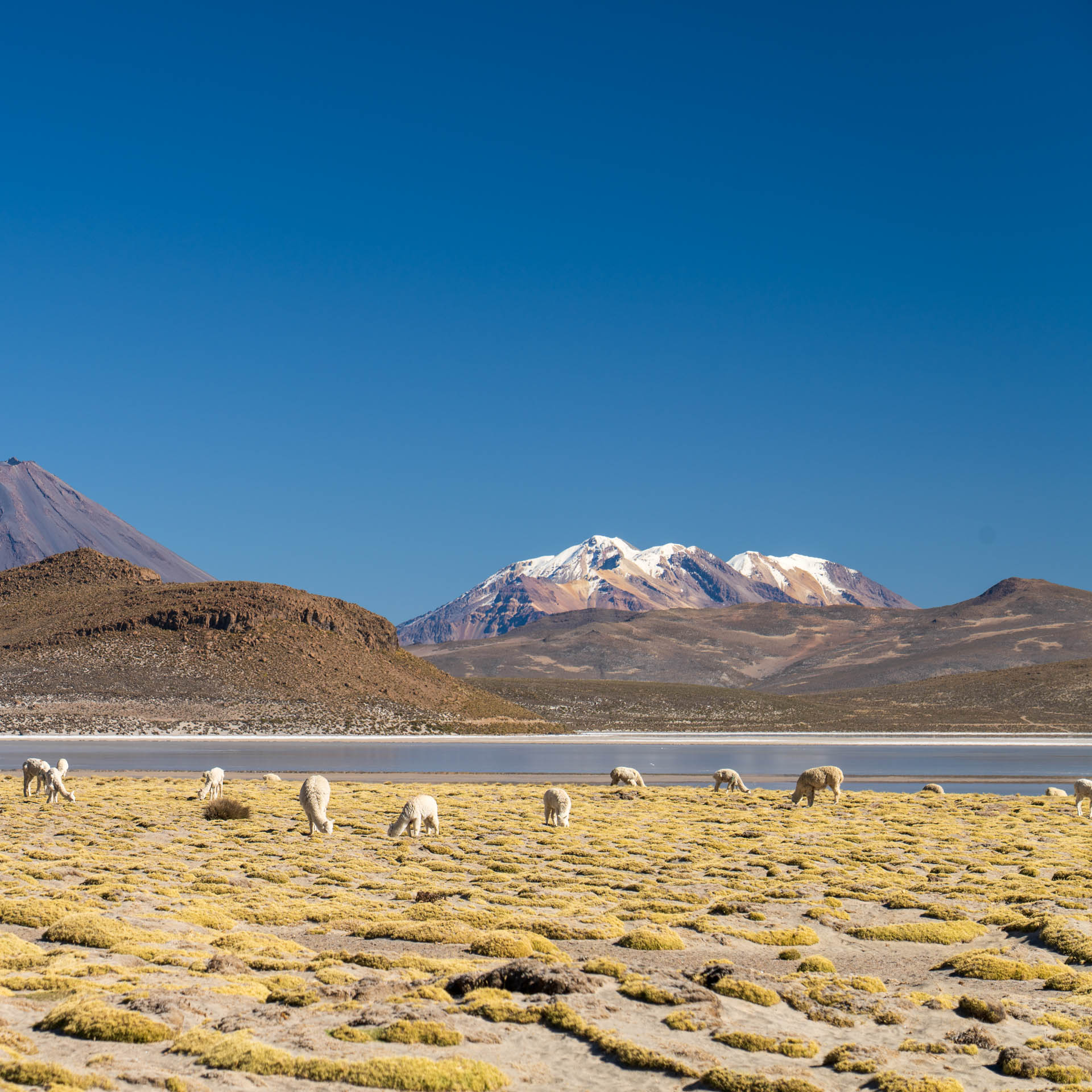 Laguna de Salinas: Perus Salzparadies auf 4.300 Metern