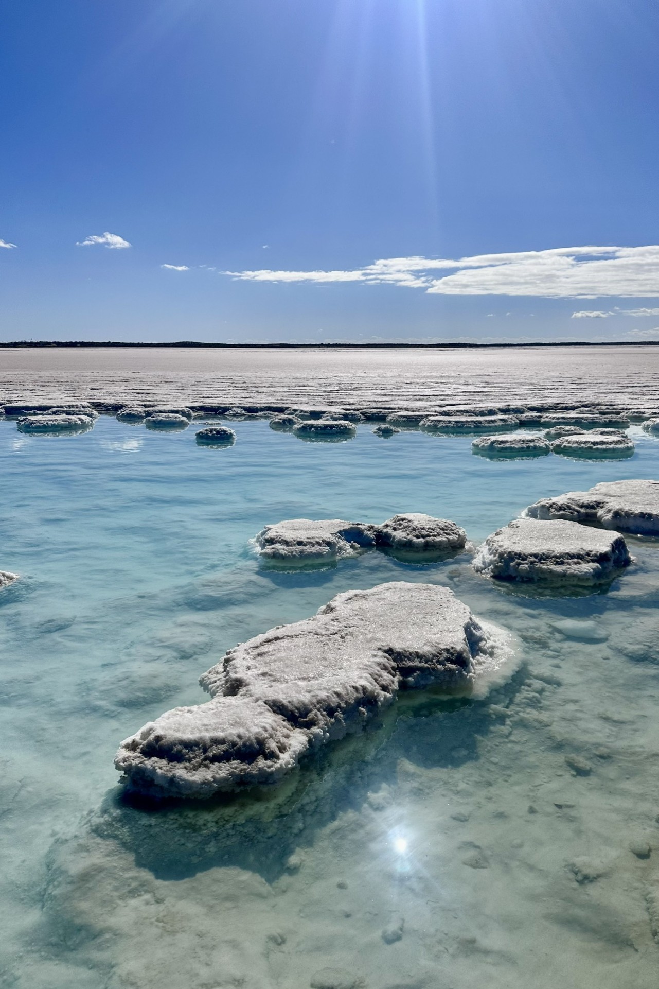 Guerrero Negro: Riesen-Saline in Nordmexiko